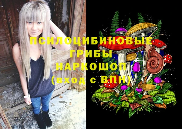 гашик Алексеевка
