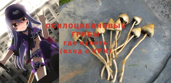 прущая мука Алзамай