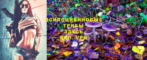 трава Алексин