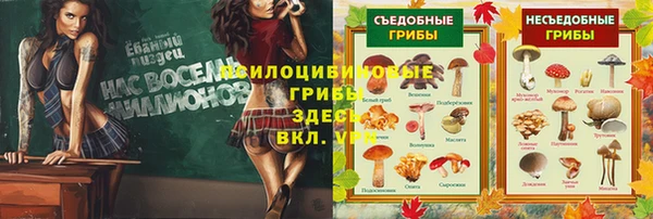 прущая мука Алзамай