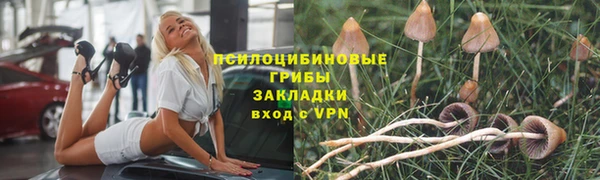 трава Алексин