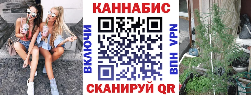 как найти закладки Гаджиево Бошки Шишки гибрид